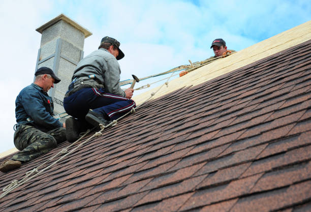 Best Shingle Roofing Installation  in Pennville, PA